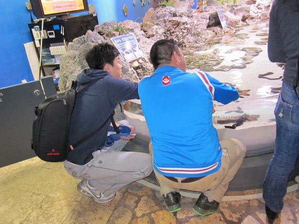 Okinawa_1th50.jpg