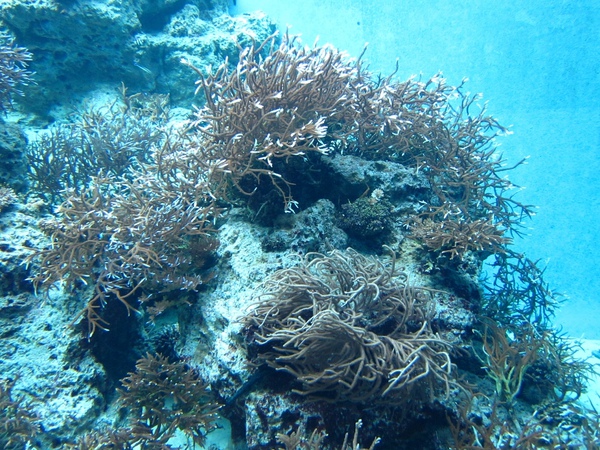 Okinawa_1th51.jpg