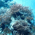Okinawa_1th51.jpg