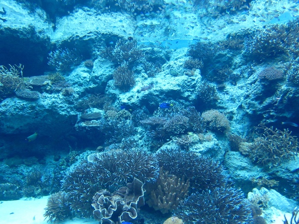 Okinawa_1th52.jpg