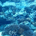Okinawa_1th52.jpg