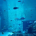 Okinawa_1th53.jpg