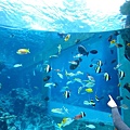 Okinawa_1th58.jpg