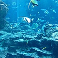 Okinawa_1th61.jpg