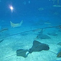 Okinawa_1th67.jpg