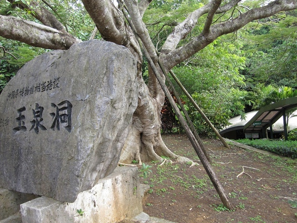 Okinawa_3th61.jpg