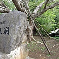 Okinawa_3th61.jpg