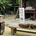 Okinawa_3th76.jpg