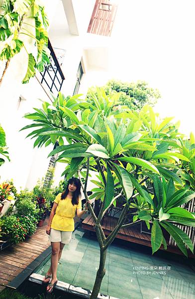 SAM_0233_副本 SAM_0233_副本