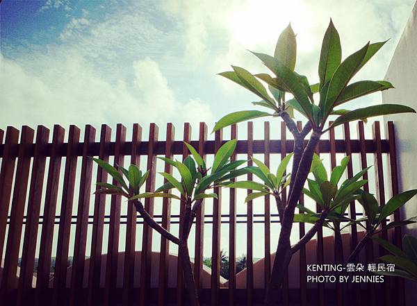 SAM_9923_副本 SAM_9923_副本