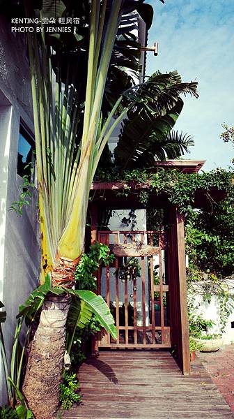 SAM_9957_副本 SAM_9957_副本