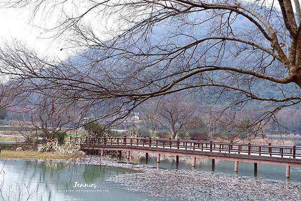 江南好風光｜西湖遊船 八卦田 南宋官窯博物館 海寧皮革城 夜