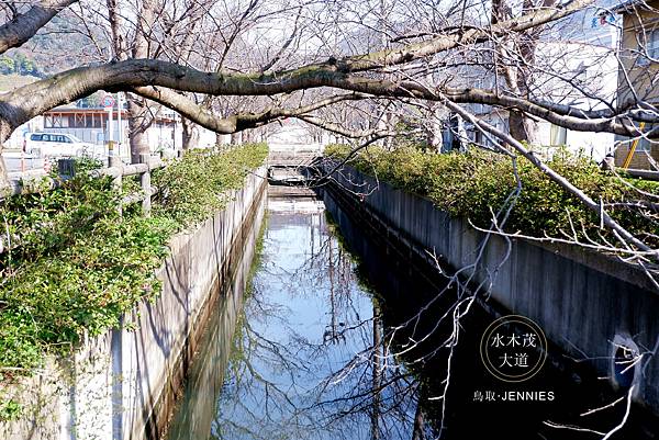 我想自由的飛｜日本旅遊 鳥取境港 水木茂大道 鬼太郎的奇妙世