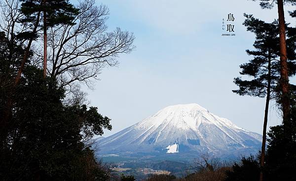 鳥取浪漫花季熱門景點｜日本最大規模花卉公園 【鳥取花迴廊 幸