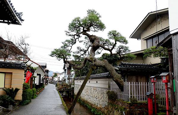 享受悠閒景致重溫日本昔日風情｜倉吉 白壁土藏群