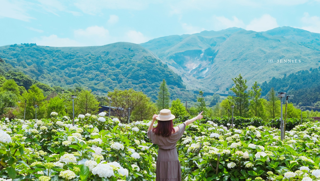 姐妹們我們來去賞花吧｜陽明山 大賞園 白色繡球花滿山滿谷好浪