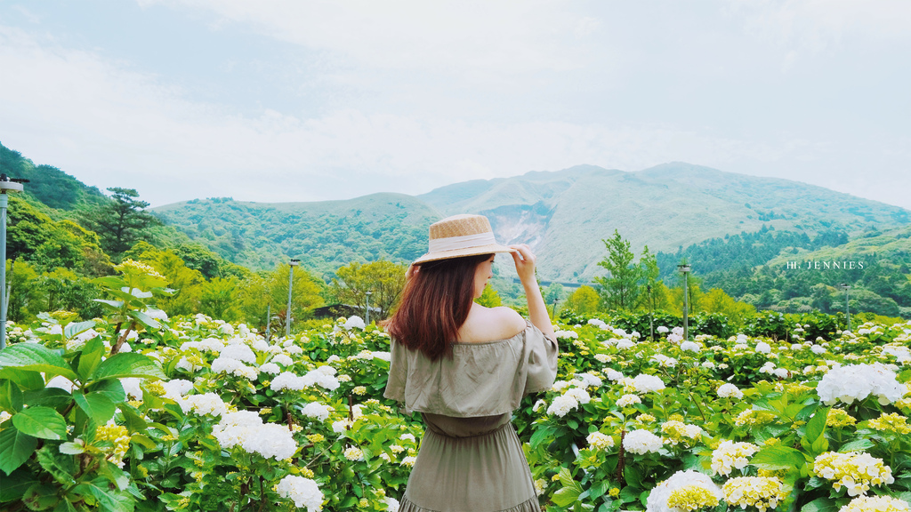 姐妹們我們來去賞花吧｜陽明山 大賞園 白色繡球花滿山滿谷好浪