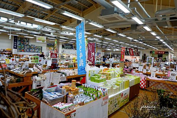 到台灣以外的漁市場走走看看體驗不同的漁市風情｜鳥取港 賀露海