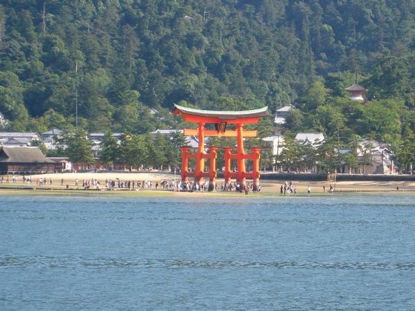 我夢寐以求的嚴島神社大鳥居