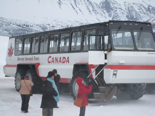 第三天：這是第三代的冰原雪車