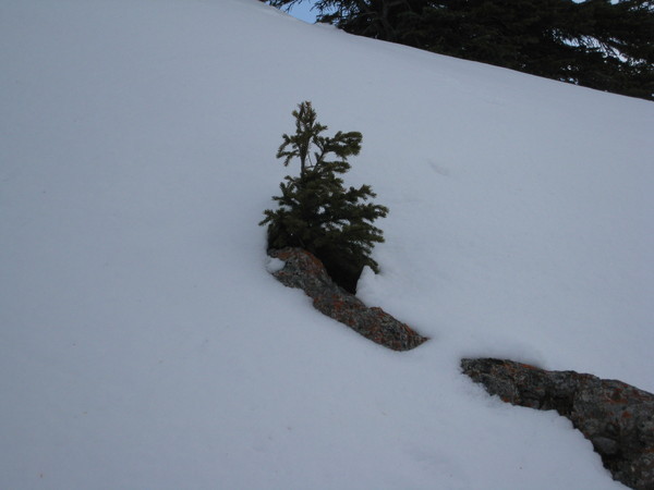 第四天：積雪還是很厚