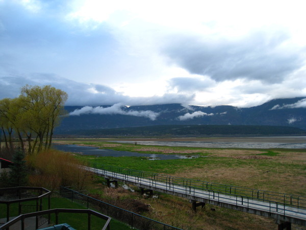 第四天：從房間陽台照出去的風景，還有鳥叫聲，真是人間仙境