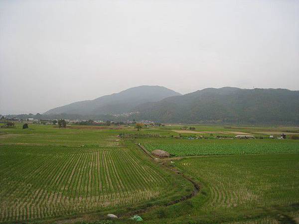 往嵐山的沿途風景