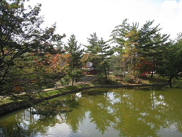 坐在東大寺前的水池邊休息