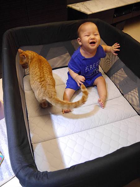 [寶寶] 1Y2M 男寶半夜醒來2hr才會回睡 求對策