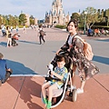 東京迪士尼樂園 Tokyo DisneyLand (2).jpg