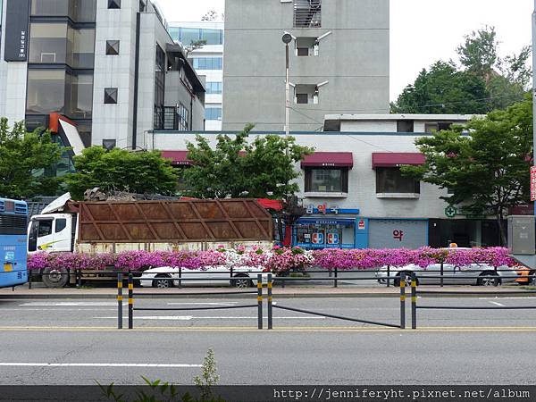 公車站放了很多漂亮的花