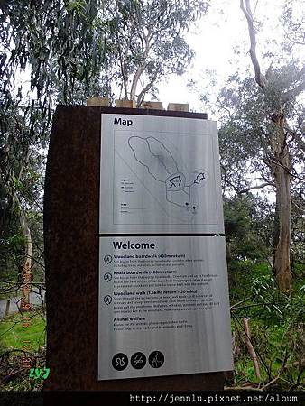 30 Koala Conservation Park (1).JPG