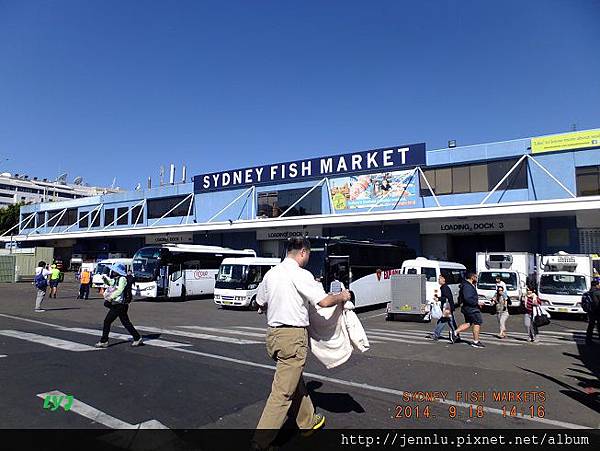 41 Sydney Fish Market (1).JPG