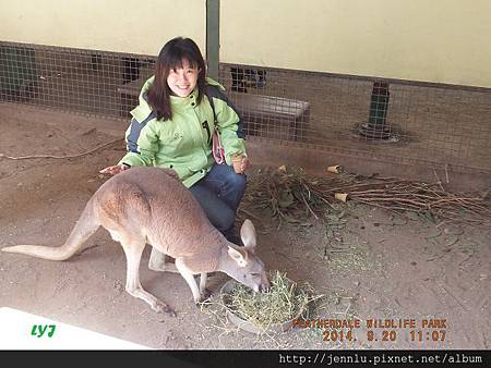 55 Featherdale Wildlife Park (5).JPG