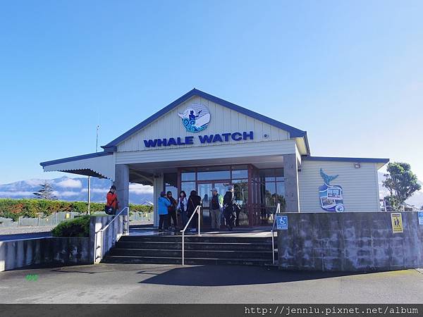 3 3 Kaikoura Whale Watch Office.JPG