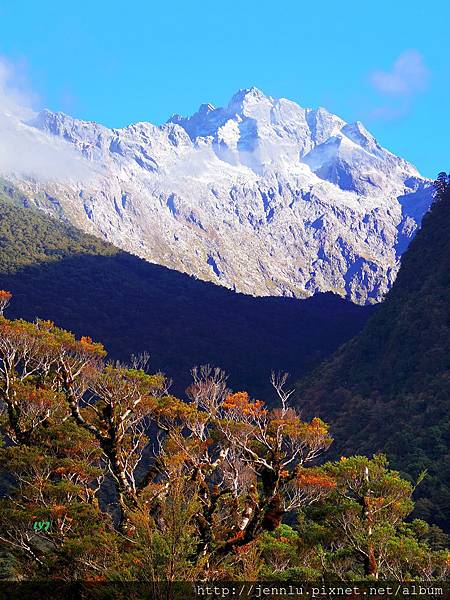 7 6 Way to Milford Sound (1).JPG