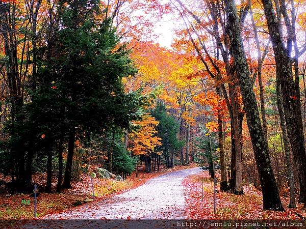 7 1 Mohawk Mountain State Park.JPG