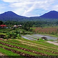 3 3 Jatiluwih Rice Terrace (5).JPG