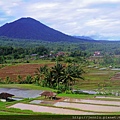 3 3 Jatiluwih Rice Terrace (6).JPG