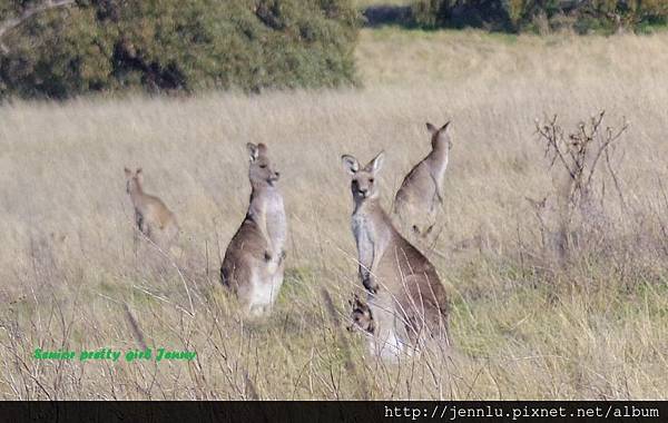 8 0 Woodlands Historic Park.JPG
