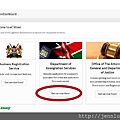 Kenya Visa - 2.jpg