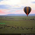 3 0 Hot Air Balloon Tour.JPG