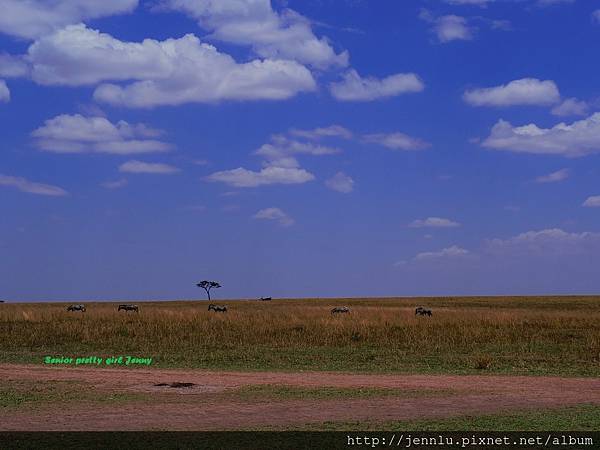 3 9 Masai Mara - Picnic (4).JPG