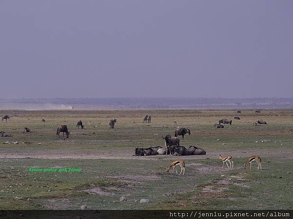 6 4 Amboseli (1).JPG