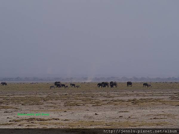6 5 Amboseli - Elephant (2).JPG