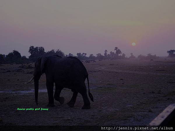 7 4 Amboseli - Sunrise (1).JPG