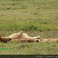 3 4 Ngrongoro crater (3).jpg