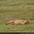 3 4 Ngrongoro crater (2).JPG