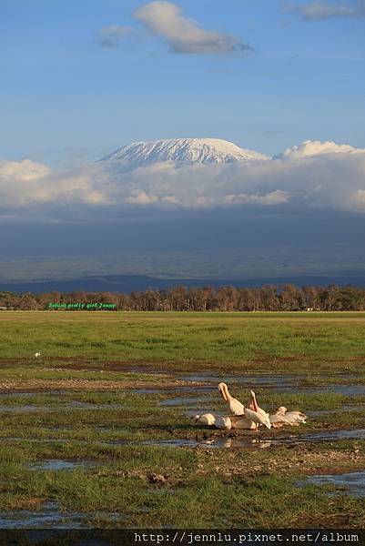 6 4 Amboseli (17).JPG