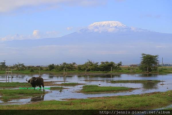 8 1 Amboseli (5).JPG